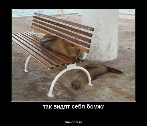 так видят себя бомжи