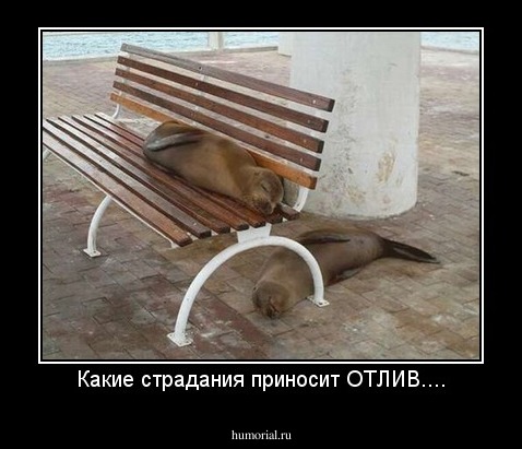Какие страдания приносит ОТЛИВ....