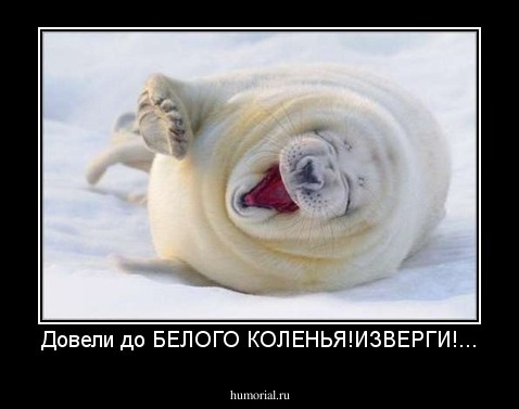 Довели до БЕЛОГО КОЛЕНЬЯ!ИЗВЕРГИ!...