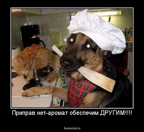 Приправ нет-аромат обеспечим ДРУГИМ!!!!