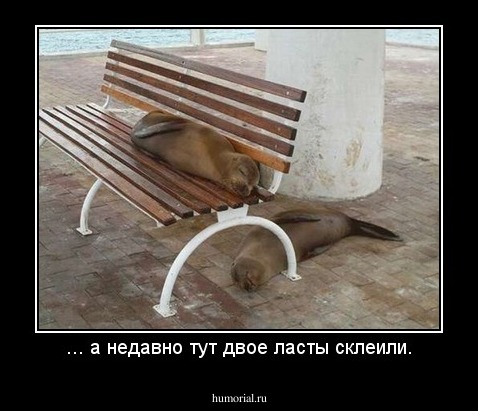... а недавно тут двое ласты склеили.