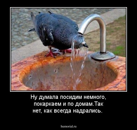Ну думала посидим немного, покаркаем и по домам.Так нет, как всегда надрались.