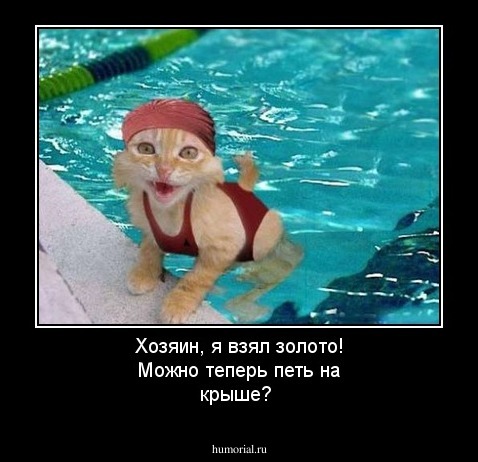 Хозяин, я взял золото! Можно теперь петь на крыше? 