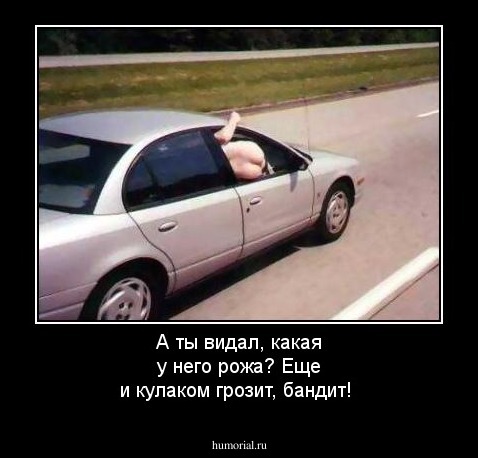 А ты видал, какая у него рожа? Еще и кулаком грозит, бандит!