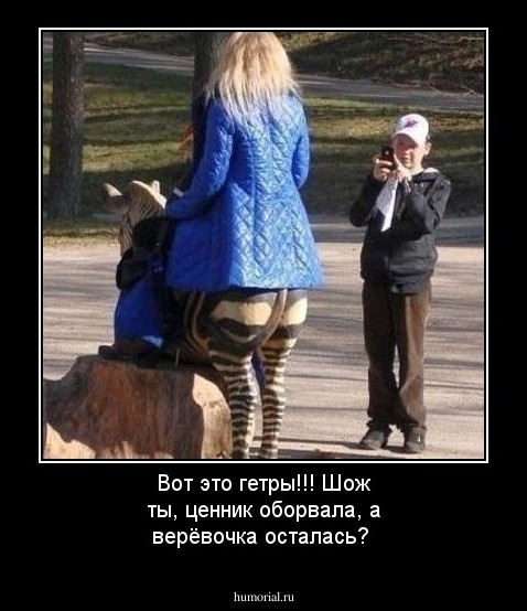 Вот это гетры!!!
Шож ты, ценник оборвала, а верёвочка осталась?