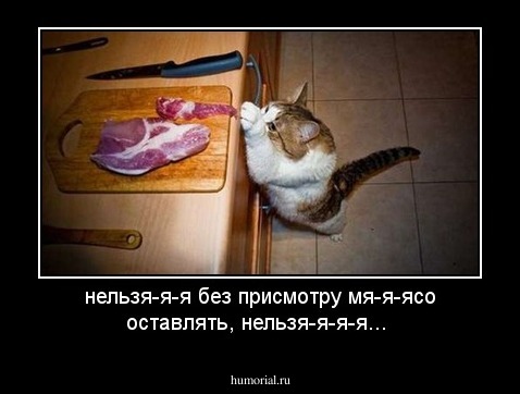 нельзя-я-я  без  присмотру мя-я-ясо оставлять, нельзя-я-я-я...