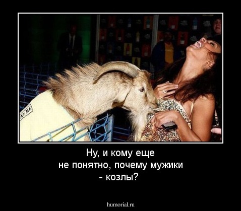 Ну, и кому еще не понятно, почему мужики - козлы?