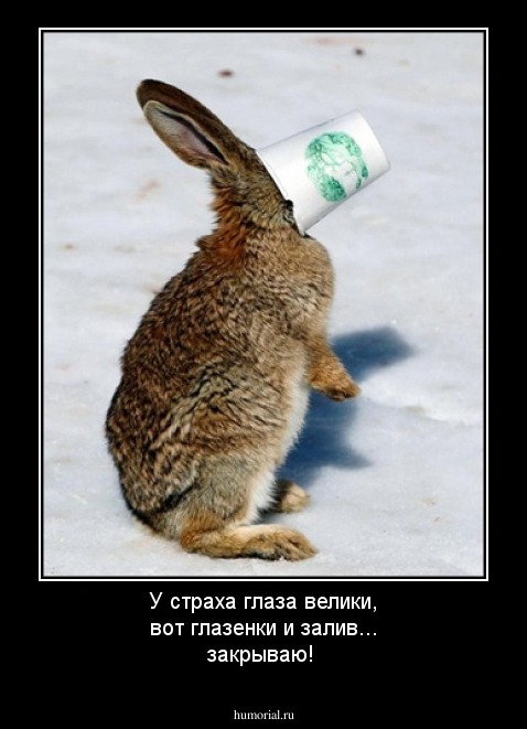 У страха глаза велики, вот глазенки и залив... закрываю!