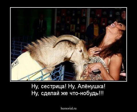 Ну, сестрица! Ну, Алёнушка! Ну, сделай же что-нобудь!!!
