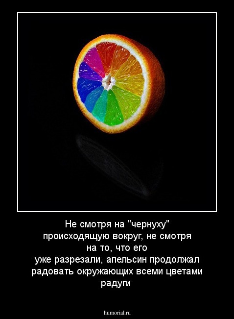 Не смотря на "чернуху" происходящую вокруг, не смотря на то, что его уже разрезали, апельсин  продолжал радовать окружающих всеми цветами радуги