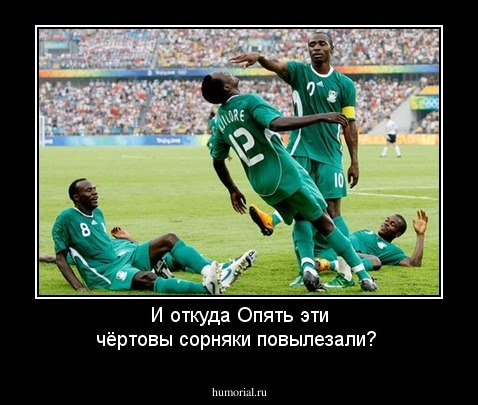И откуда Опять эти чёртовы сорняки повылезали?