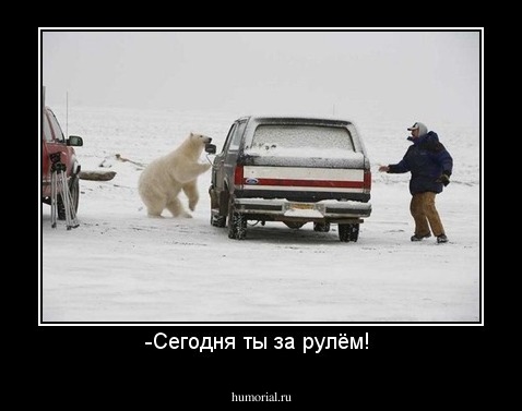 -Сегодня ты за рулём! 