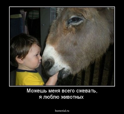 Можешь меня всего сжевать, я люблю животных