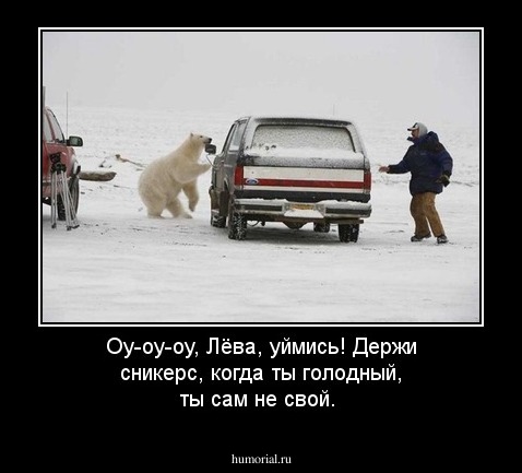 Оу-оу-оу, Лёва, уймись! Держи сникерс, когда ты голодный, ты сам не свой.