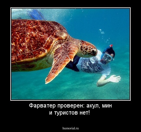Фарватер проверен: акул, мин и туристов нет!