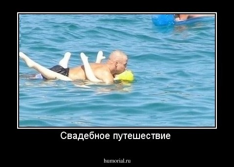 Свадебное путешествие 