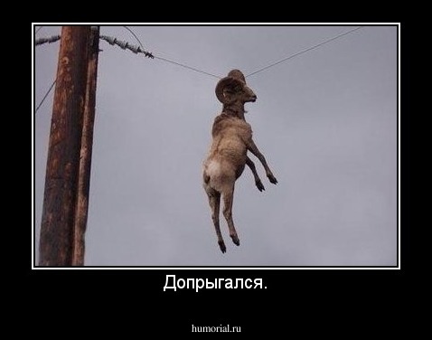Допрыгался.