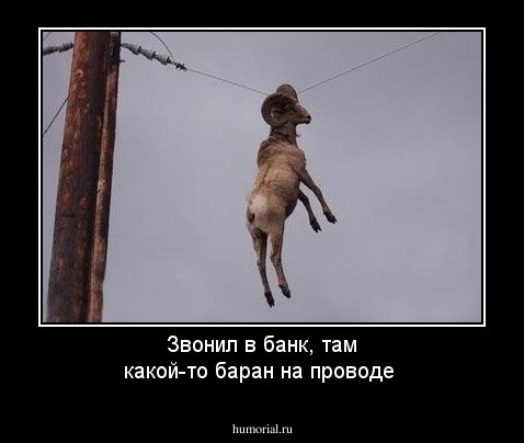 Звонил в банк, там какой-то баран на проводе 