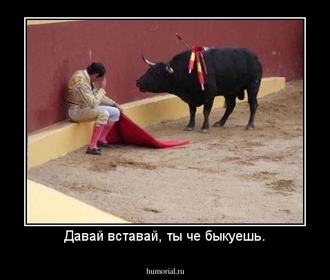Давай вставай, ты че быкуешь.