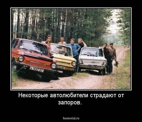 Некоторые автолюбители страдают от запоров.