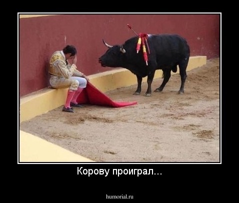 Корову проиграл...