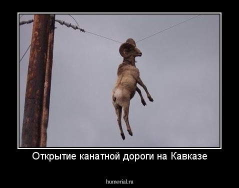 Открытие канатной дороги на Кавказе