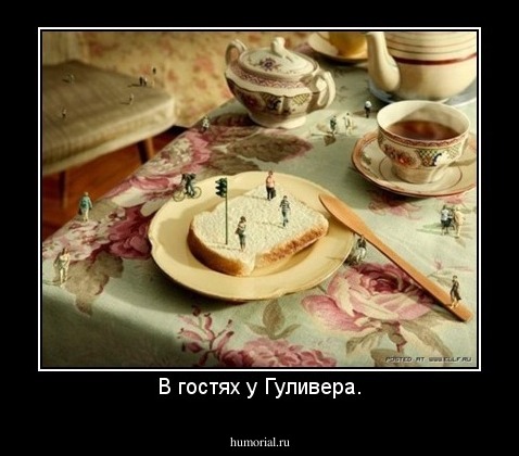В гостях у Гуливера.