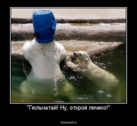 "Гюльчатай! Ну, открой личико!"