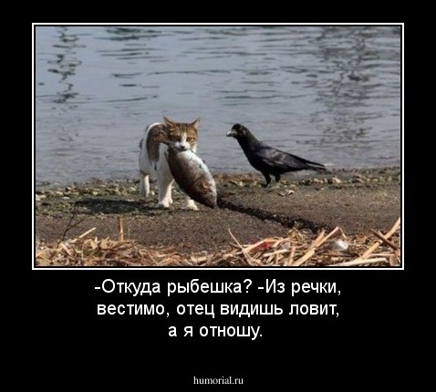 -Откуда рыбешка? 
-Из речки, вестимо, отец видишь ловит, а я отношу. 

  
