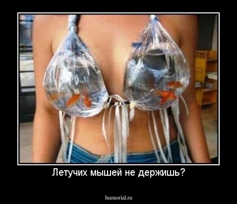 Летучих мышей не держишь?