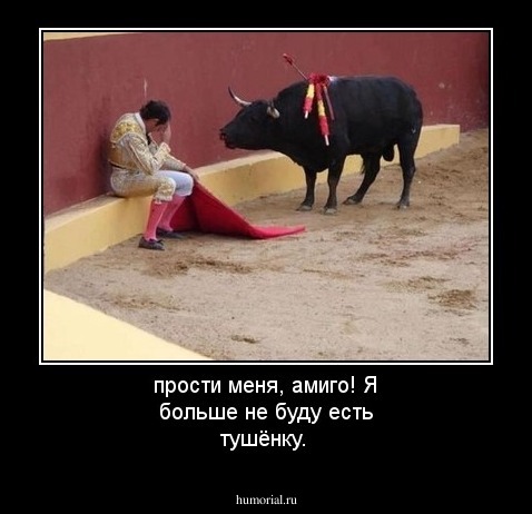 прости меня, амиго! Я больше не буду есть тушёнку.