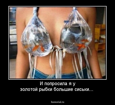 И попросила я у золотой рыбки большие сиськи...