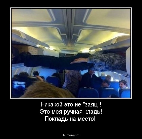 Никакой это не "заяц"! Это моя ручная кладь! Покладь на место!
