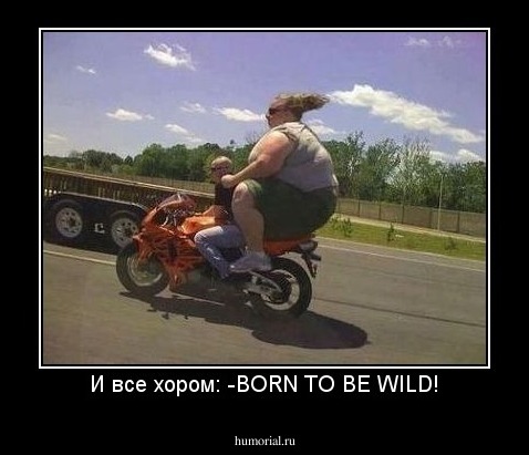 И все хором: -BORN TO BE WILD!