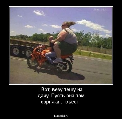 -Вот, везу тещу на дачу. Пусть она там сорняки... съест.
