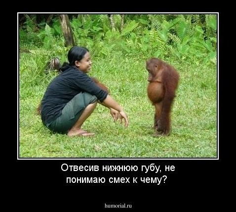 Отвесив нижнюю губу, не понимаю смех к чему?
