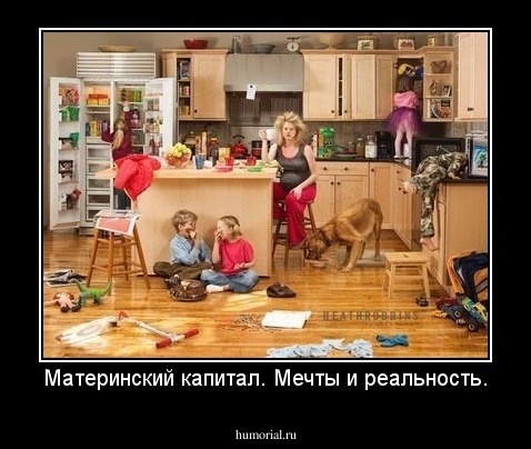 Материнский капитал. Мечты и реальность.