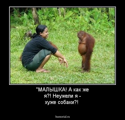 "МАЛЫШКА! А как же я?! Неужели я - хуже собаки?!