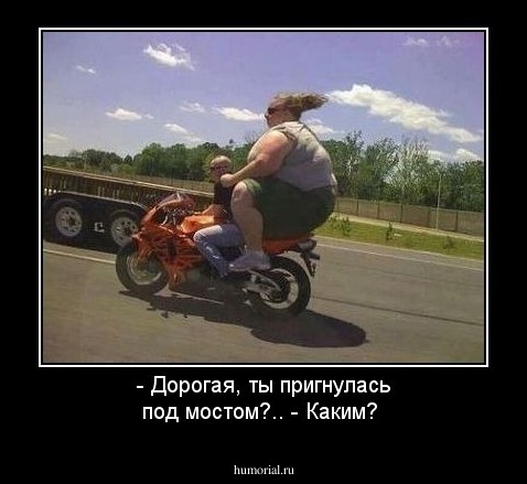 - Дорогая, ты пригнулась под мостом?..  - Каким?