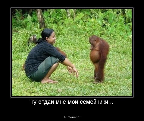 ну отдай мне мои семейники...