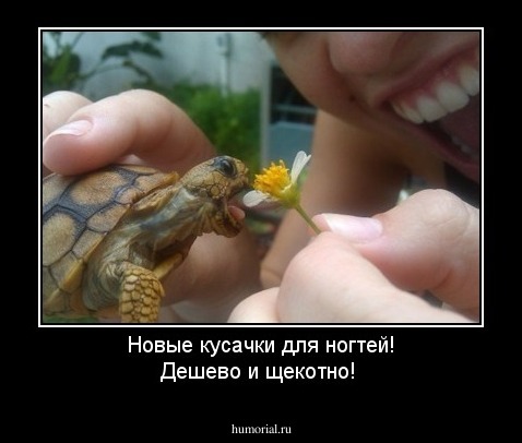 Новые кусачки для ногтей! Дешево и щекотно!