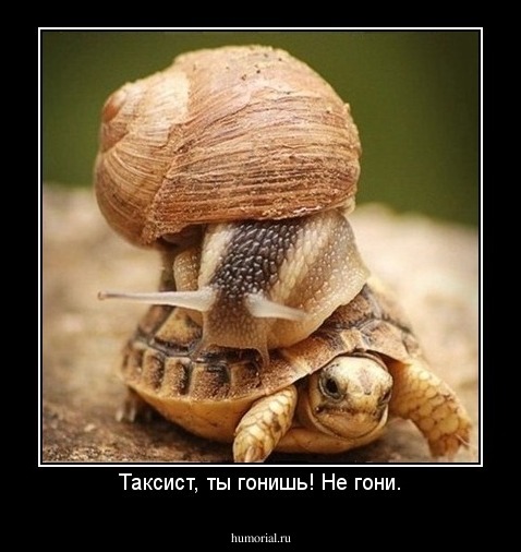 Таксист, ты гонишь! Не гони.