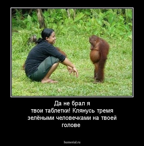 Да не брал я твои таблетки! Клянусь тремя зелёными человечками на твоей голове