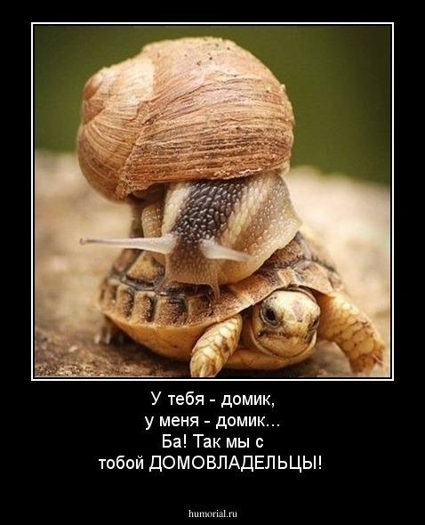 У тебя -  домик, у меня - домик... Ба! Так мы с тобой ДОМОВЛАДЕЛЬЦЫ!