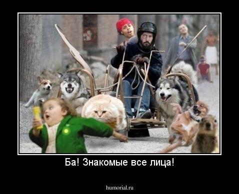 Ба! Знакомые все лица!