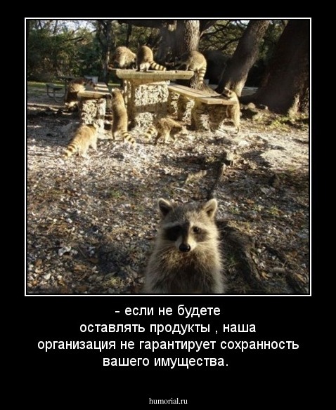 - если не  будете оставлять продукты ,
наша организация  не гарантирует сохранность вашего имущества.