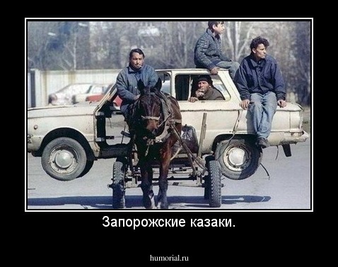Запорожские казаки.
