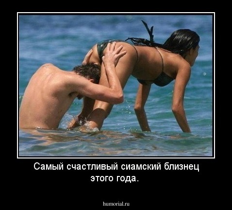 Самый счастливый сиамский близнец этого года.