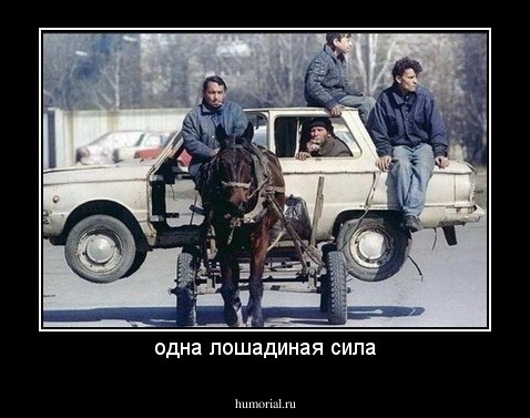 одна лошадиная сила