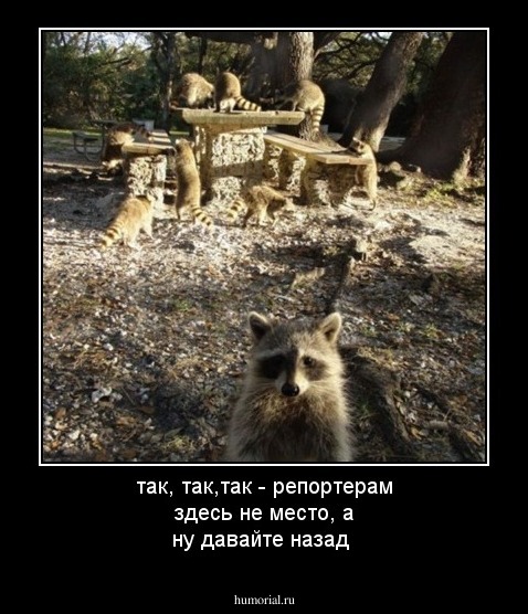 так, так,так - репортерам здесь не место, а ну давайте назад